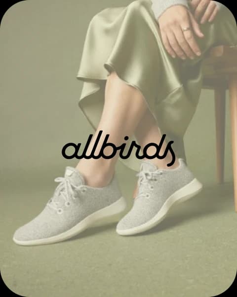 ALLBIRDS product