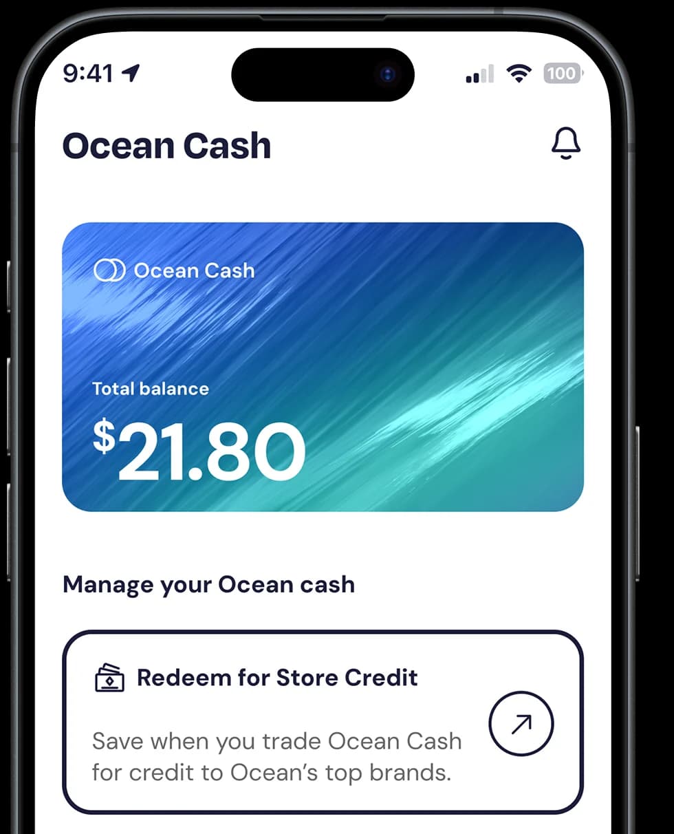 Get it Fast. And Get Paid Back.