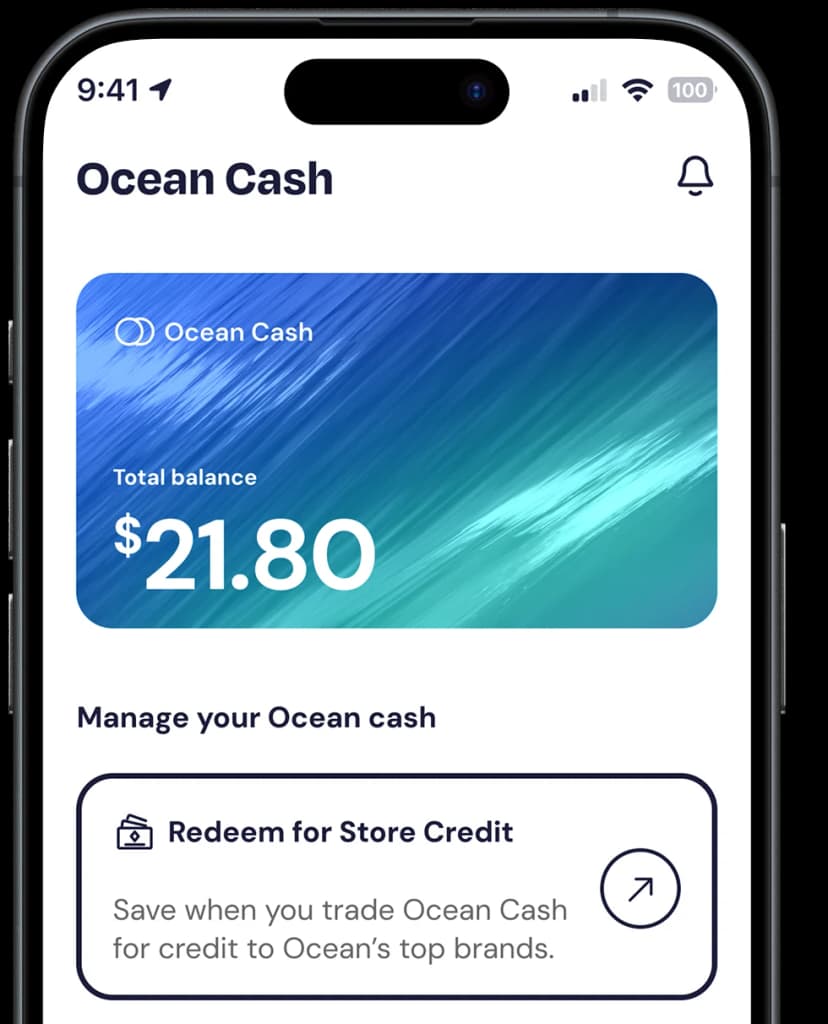 Get it Fast. And Get Paid Back.